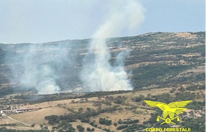11 fires yesterday – ARISTANIS TV
