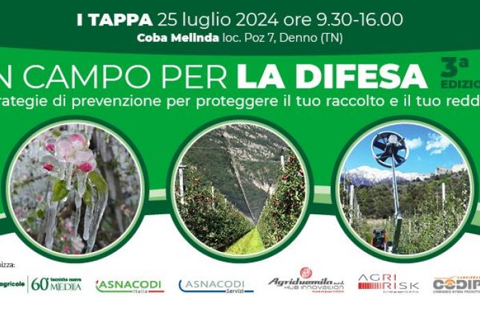 On the field for defense: first stop of 2024 in Trentino