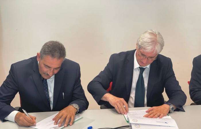 Strategic agreement between the port of Livorno and that of Damietta on hydrogen