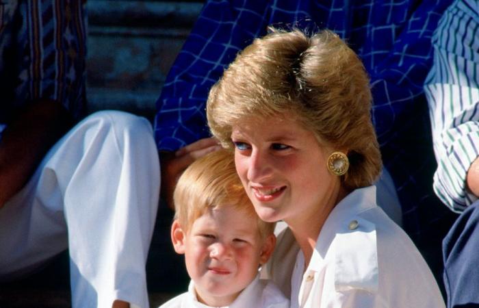 Prince Harry says he understood Princess Diana would have wanted him to be happy