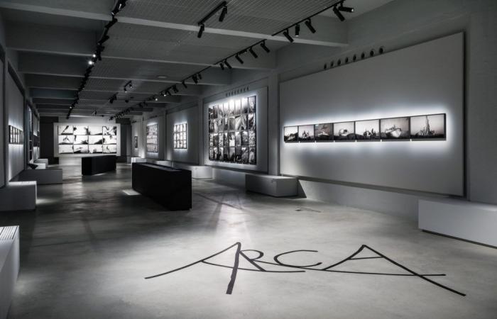 Gallerie d’Italia Turin, the exhibition “Antonio Biasiucci. Arca” opens
