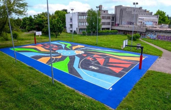 Busto, the Verri basketball court changes face. Colors for “Niko” Sartoni
