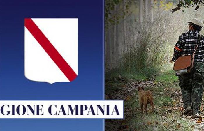 Fidc Campania: animal rights activists’ appeal on 2023-2024 hunting calendar inadmissible