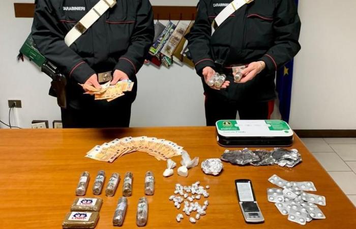 Maxi drug dealing network with 5 kilos of cocaine