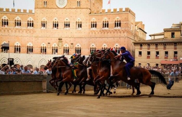 Palio di Siena: Nicchio wins the first race