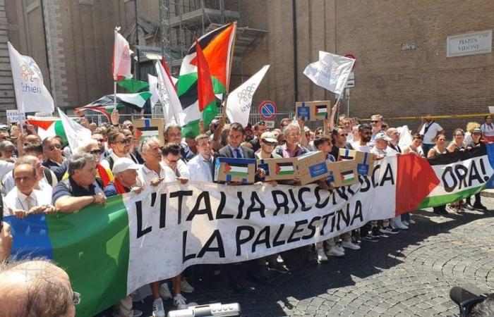 Italy Recognizes the State of Palestine: 80,000 Signatures Deposited in the Senate