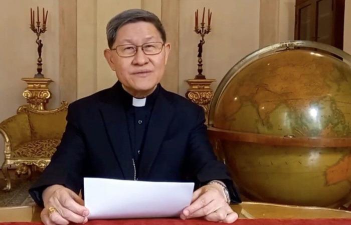 Tagle: the Concilium Sinense turning point for the Church in China, still relevant today