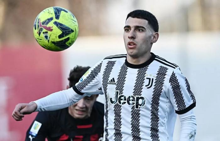 Transfer Market Sampdoria, challenge to Palermo for Hasa Juventus