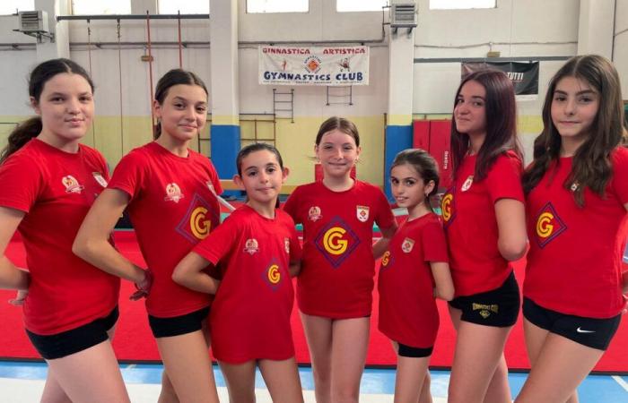 8 gymnasts and 2 technicians ready for Rimini – the Gazzettino di Gela