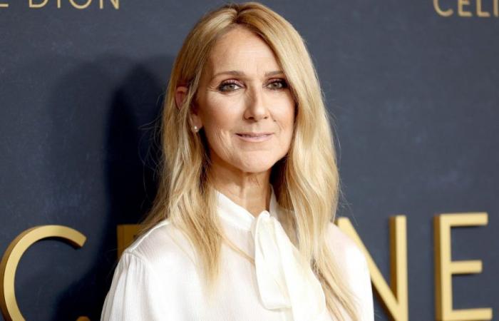 Celine Dion and her hair with twists (and brush)