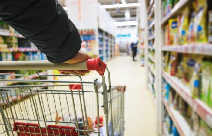 Shopping cart prices slow in June: +1.4%