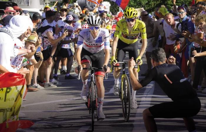 Who Wins Tour de France 2024? Head to Head Pogacar Vingegaard: Odds