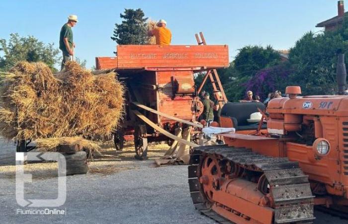 Isola Sacra, great success for the eleventh edition of the “Threshing Festival”