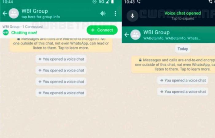 WhatsApp messages, be careful what you write: what was discovered