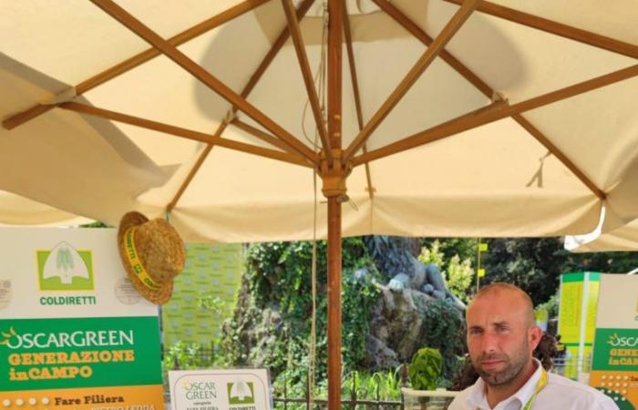 Oscar Green. Pietro Ledda wins in the “Fare Filiera” category – ARISTANIS TV