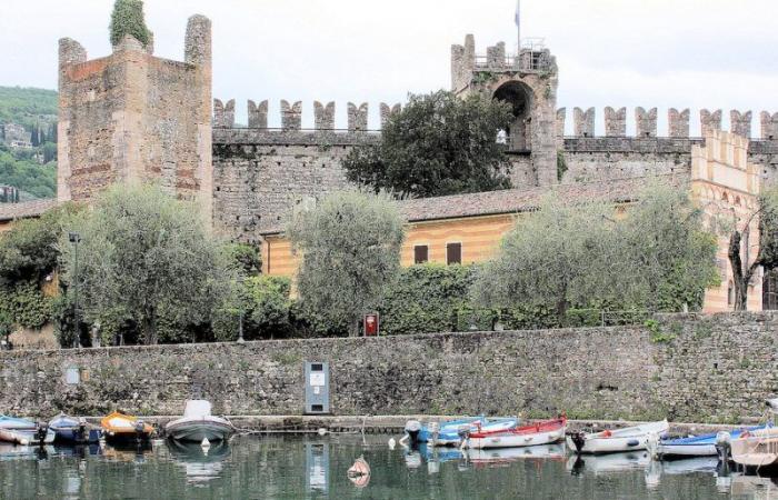 The many cases of gastroenteritis on the Venetian coast of Lake Garda