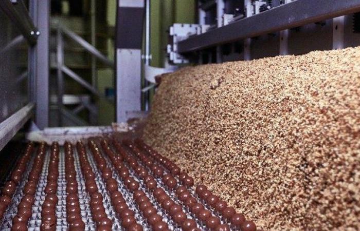 After the July holidays, the Ferrero factory will reopen with 1,400 seasonal workers