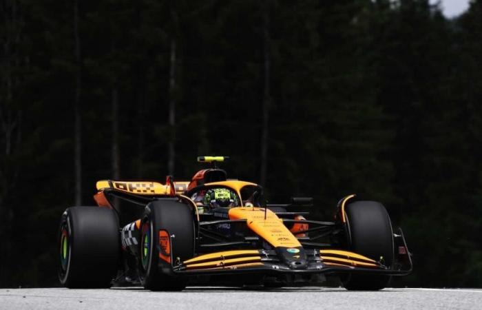 McLaren, Stella: “We are fighting for the Title with realism”