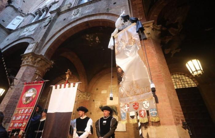 Palio di Siena on 2 July 2024: the waltz of the mountains