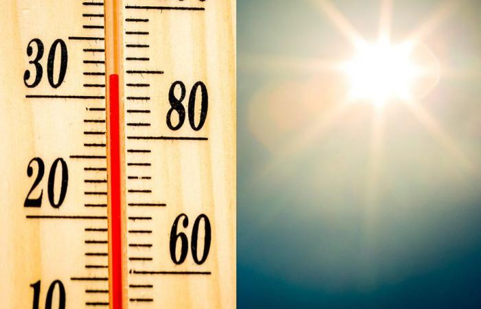 Intense heat wave in the Marche, Monday with red flag – Ancona-Osimo News – CentroPagina