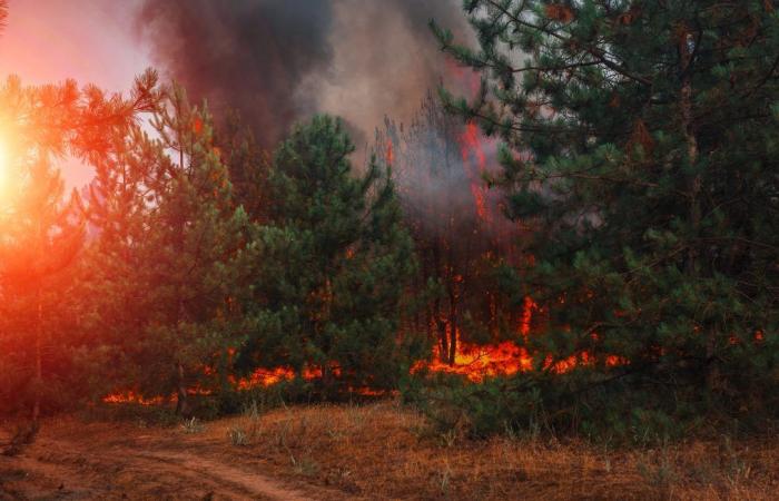 NASA’s artificial intelligence is being used to fight fires