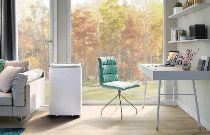 Exaggerated discount on the Electrolux portable air conditioner: price has dropped