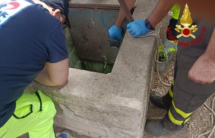 Child dead in well, rescuer also investigated – News