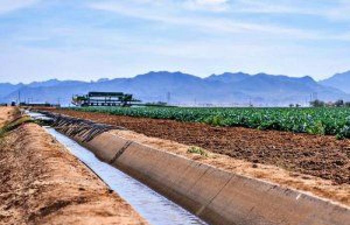 19 million euros for the irrigation networks of Western Sicily