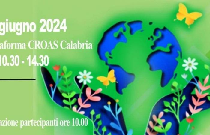 World Social Work Day: commitment of Croas Calabria