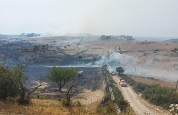 Fires in Sicily, blazes in Ragusa, interventions by foresters and Canadair – BlogSicilia
