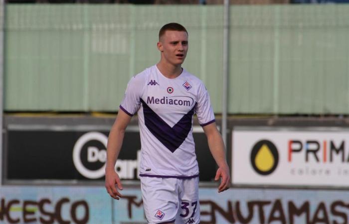 Fiorentina, for Comuzzo there is not only Reggiana: the details