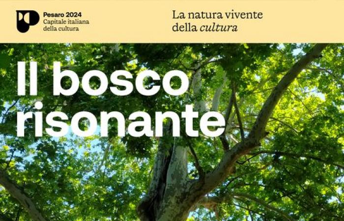 Municipality of Pesaro: The resonant forest