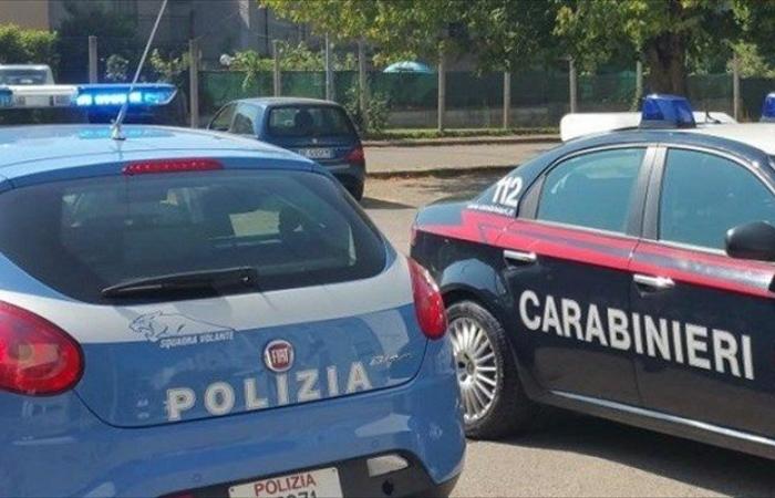 “Over 45 reinforcements for surveillance in Abruzzo”