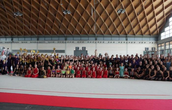 Italian Gymnastics Federation – Rimini – Silver wedding for the Gymnaestrada Gala