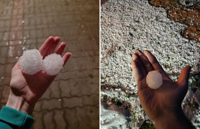 Extensive damage due to hailstorms in the Lanzo Valleys and Canavese