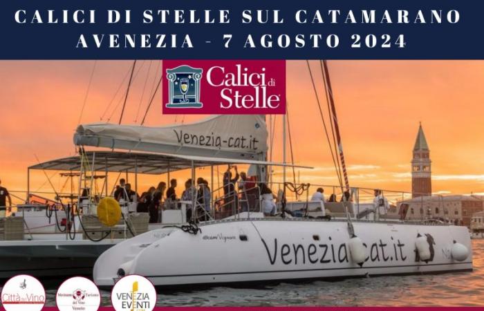 Calici di Stelle in Venice in Catamaran 2024