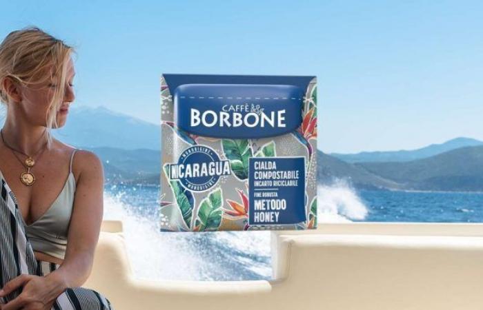 Borbone Nicaragua Coffee Pods at ILLEGAL PRICE on eBay