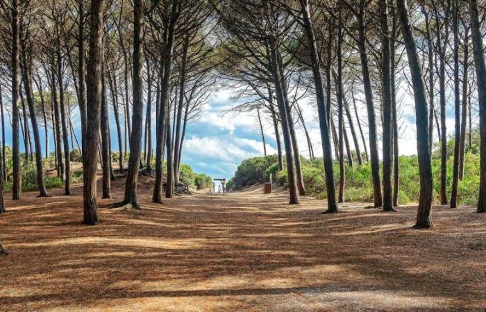 Open air holidays in the nature of Tuscany: what to do and see