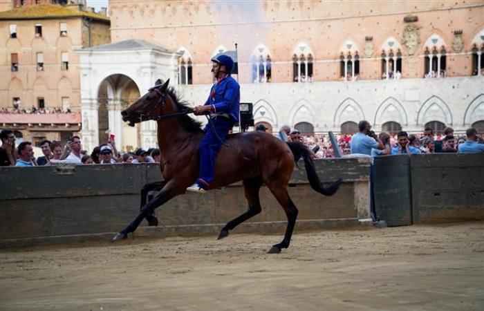 Siena: Palio 2 July, Nicchio wins the first test – Centritalia News