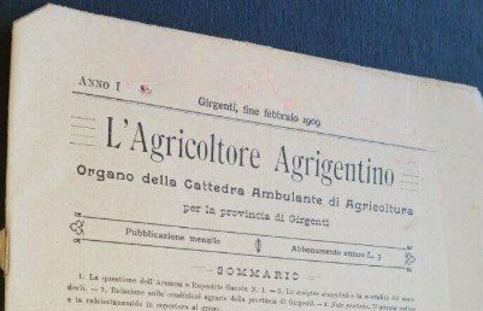 The Itinerant Chair of Agriculture of Agrigento, its Economic and Social Importance