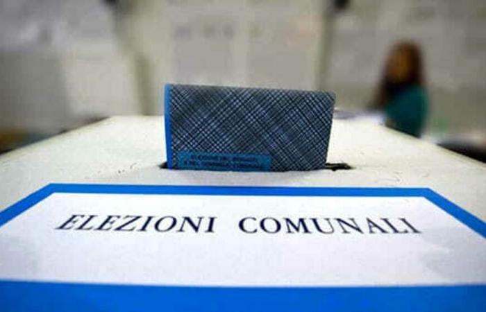 Municipal Runoffs 2024, turnout data at 12:00 in Bari, Putignano and Santeramo