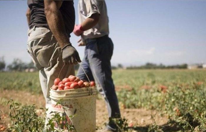 In Umbria 41,700 irregular workers: one worker in 10 is illegal