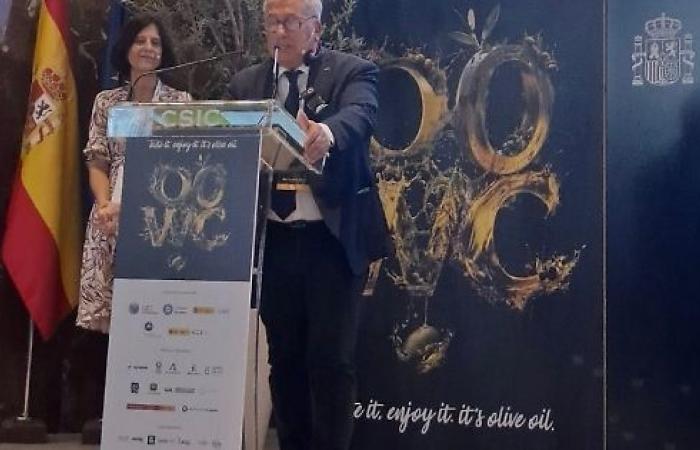 Oil, the voice of Puglia also in Madrid. Sicolo: «More quality, more consumption»
