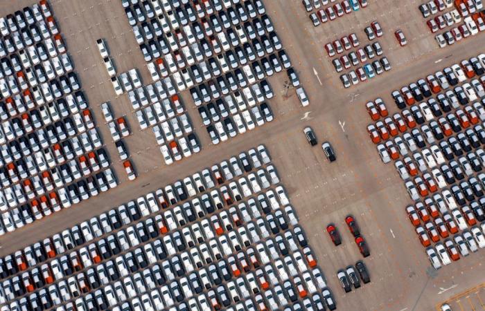 Car movement in ports, with the new law in Livorno 300 jobs at risk