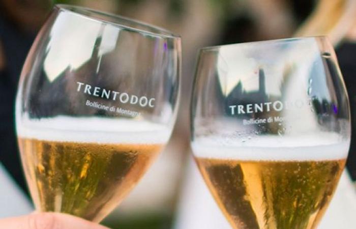 Wine, “Trentodoc in the Cellar” in September: 97 events with 42 wineries