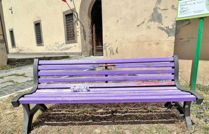 Fibromyalgia, purple bench in Piazza della Rocca damaged