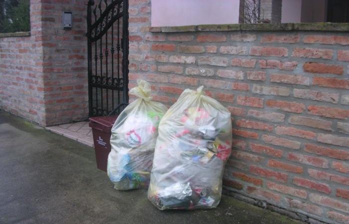 Waste sorting. Ferrara ‘leader’ in Emilia-Romagna