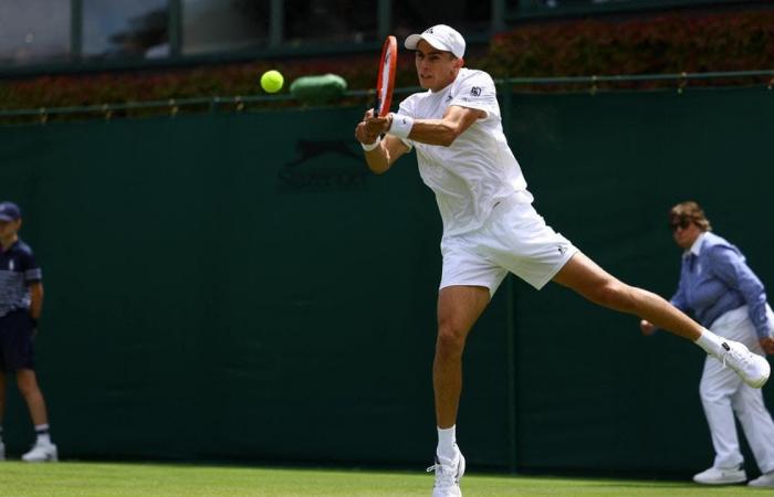 Wimbledon 2024: Sinner, Berrettini and seven other Italians on the court today