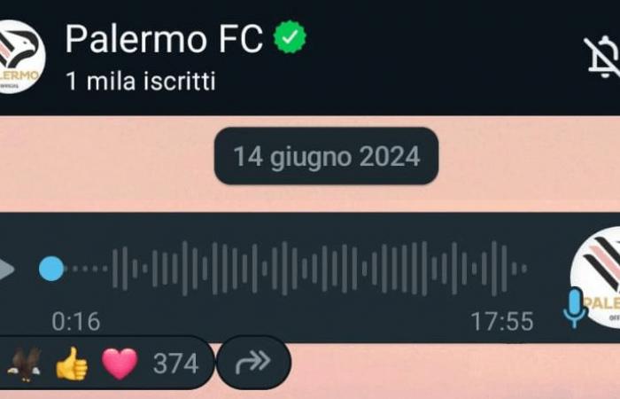 Palermo lands on Whatsapp: Amauri greets the fans and drops another clue (PHOTO)