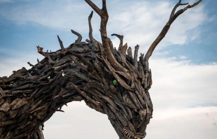 Drago Vaia Regeneration Inaugurated: It’s the Largest Wooden Dragon Sculpture in the World